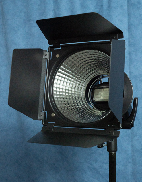 Reflector with barn doors